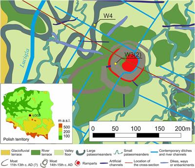 Chironomidae Morphological Types and Functional Feeding Groups as a Habitat Complexity Vestige